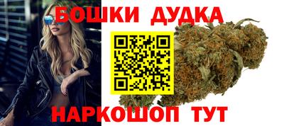 гашик Будённовск