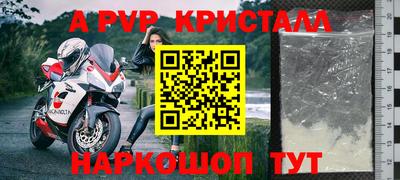 гашик Будённовск